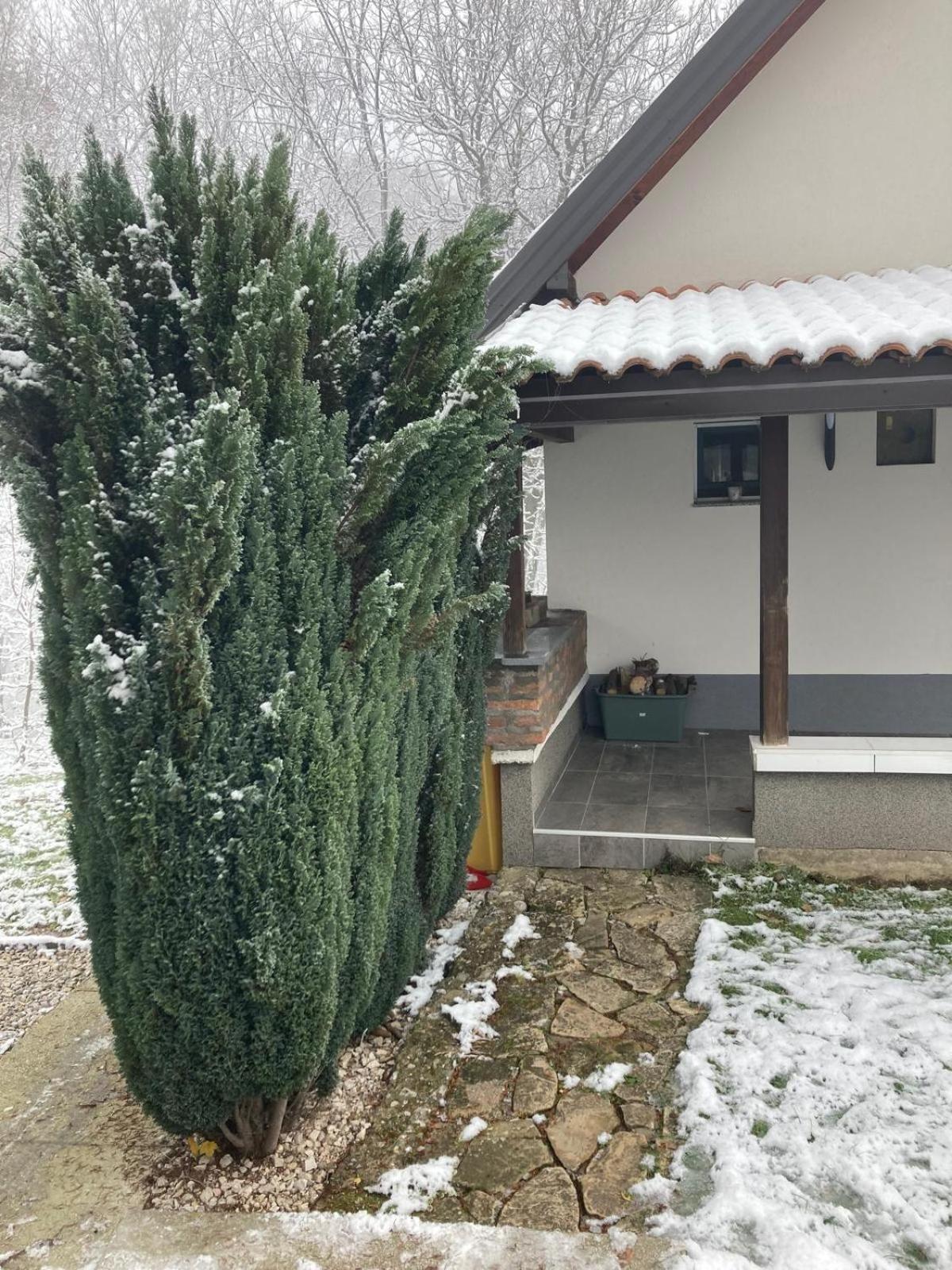 Holiday Home Tunnel Ravne Visoko Zewnętrze zdjęcie
